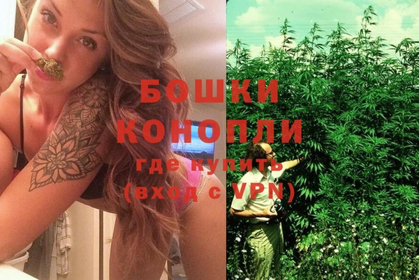 таблы Богданович