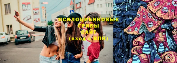 таблы Богданович