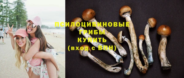 кокс Богородицк