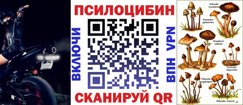 Купить где  Маркс  Псилоцибиновые грибы мицелий 