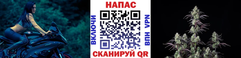 Купить  Маркс  Конопля VHQ 